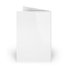 Merry and Bright Holiday Greeting Card with Border - 10 Pack
